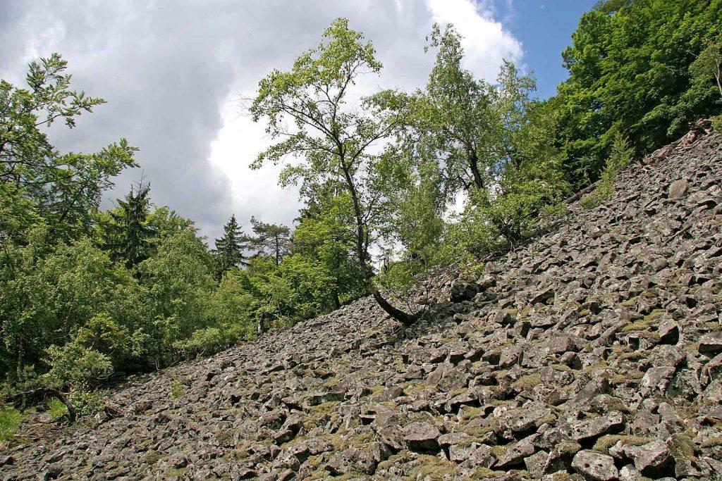 Návrat divočiny :: Geopark Ralsko